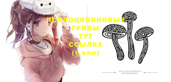 прущая мука Абинск