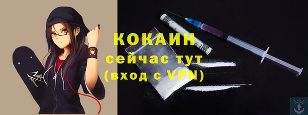 гидра Абаза
