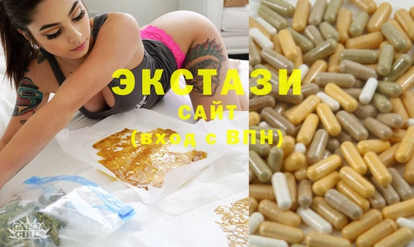 гидра Абаза