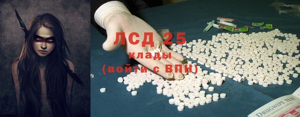 гидра Абаза