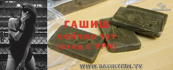 гидра Абаза