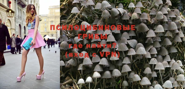 гидра Абаза