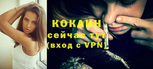 гидра Абаза